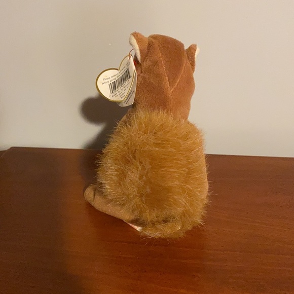 Ty Beanie Baby Nuts - Picture 3 of 6